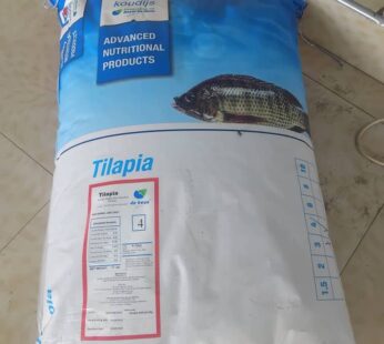 Premium Fish Feed