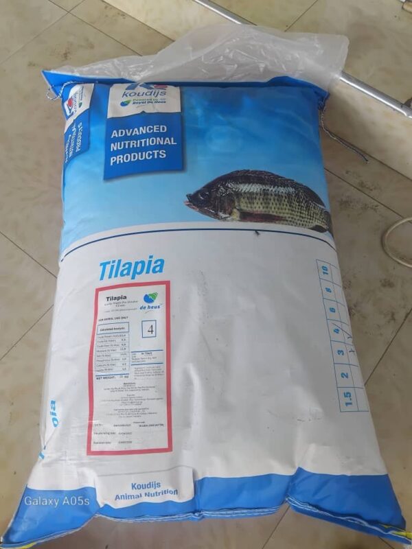 Premium Fish Feed